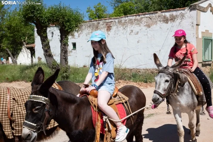 Volteo Western Golmayo 2022 / María Ferrer