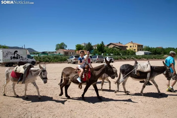 Volteo Western Golmayo 2022 / María Ferrer