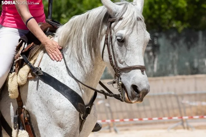 Volteo Western Golmayo 2022 / María Ferrer