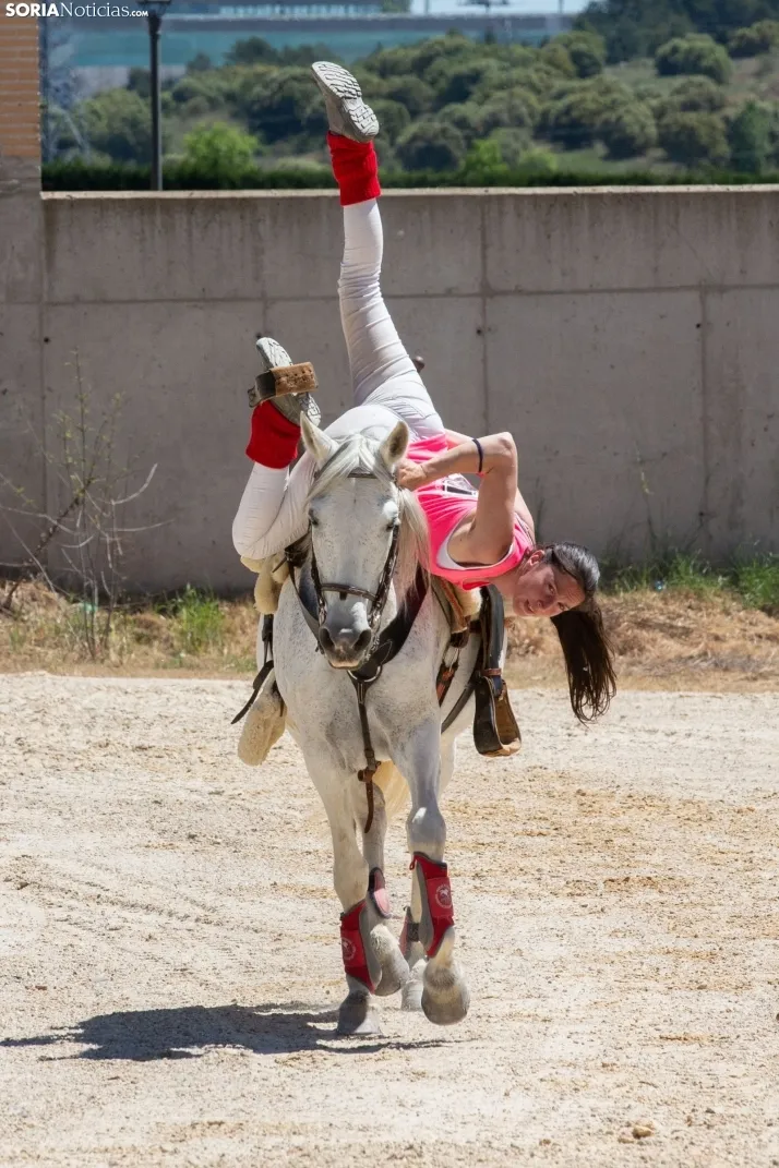 Volteo Western Golmayo 2022 / María Ferrer