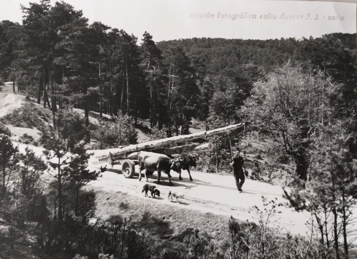 Pérez Frías llega a OnPhoto Soria con su conferencia Paisajes