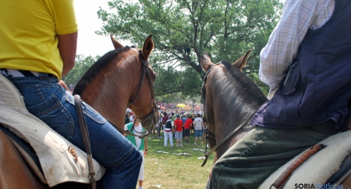 30.000&euro; para la Asociación Amigos de la Saca: Así se preparan los Sanjuanes