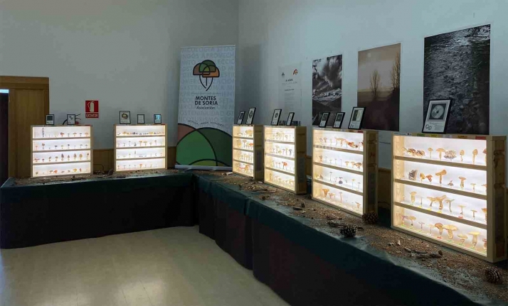 El Burgo acoge el Tour Primavera Setera 2022