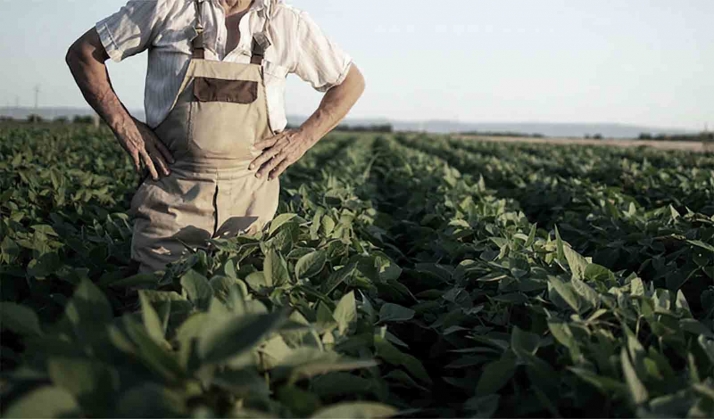 Castilla y León contará con un nuevo Plan Estratégico del Cooperativismo Agroalimentario