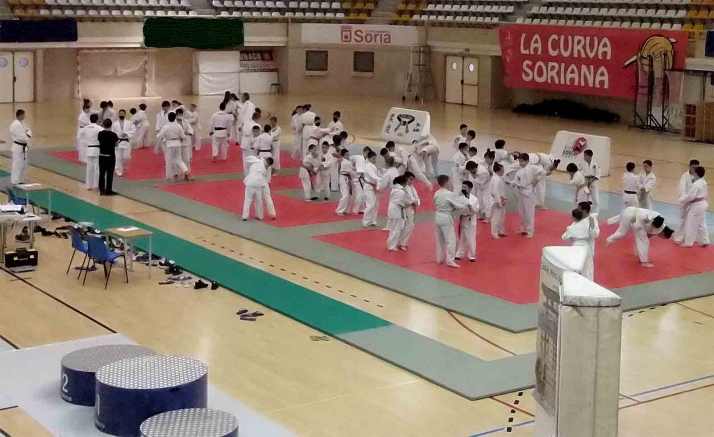 Judo que promete en Los Pajaritos