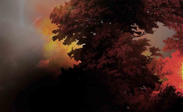 Declarado, entre el viernes y el domingo, peligro medio de incendios forestales