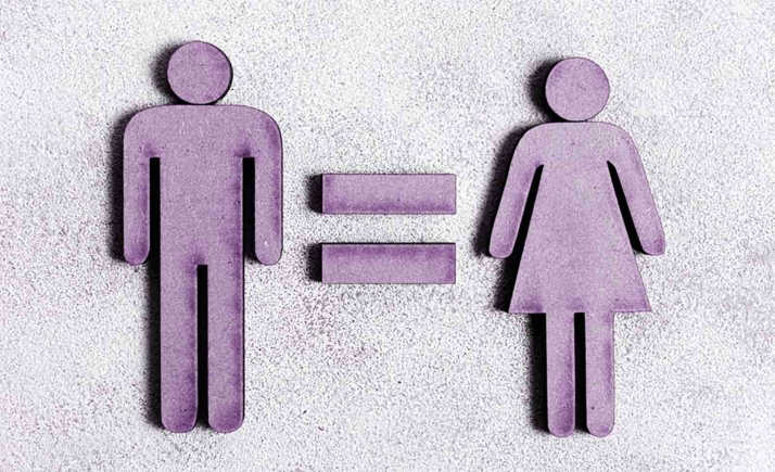 Lamentan que el Plan de Igualdad provincial se haya dictaminado sin convocar la Comisión de transversalidad ni la mesa de diálogo social