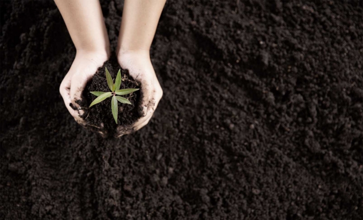 CCOO anima a participar en su Concurso de Fotografía sobre Educación Ambiental