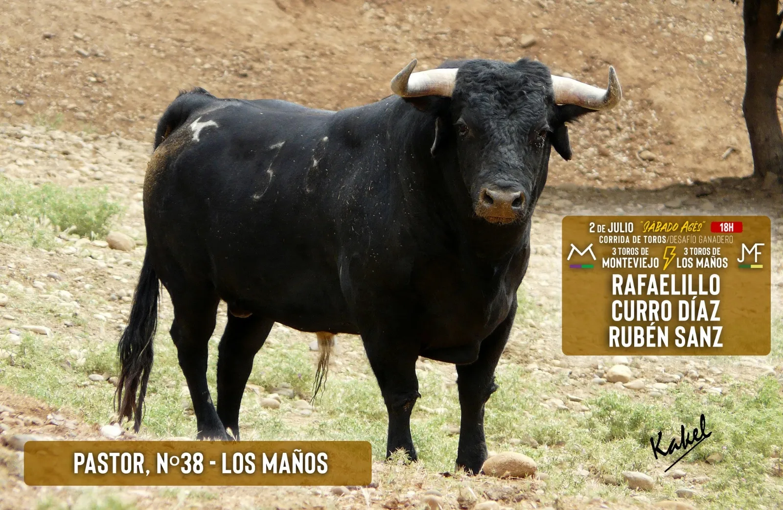 Foto 7 - Estos son los toros para el S&aacute;bado Ag&eacute;s