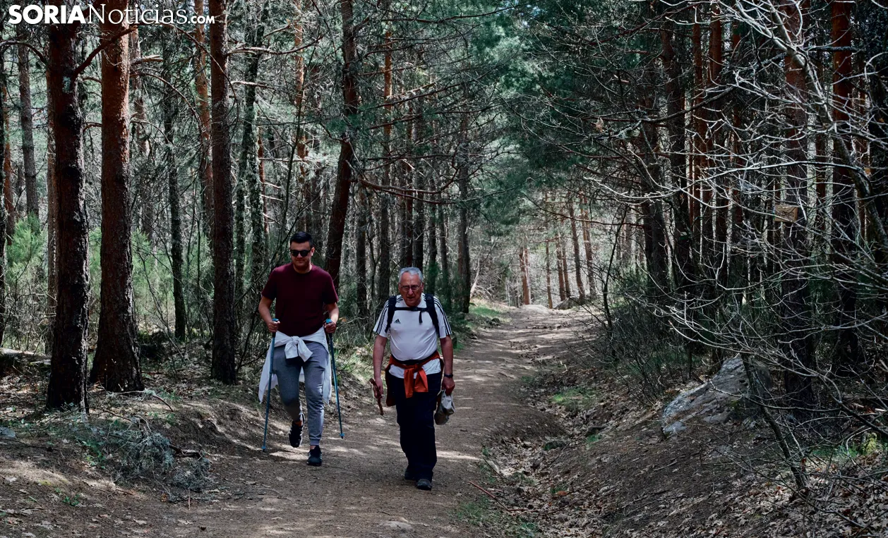 Foto 2 - En im&aacute;genes: ruta de las cascadas de Covaleda