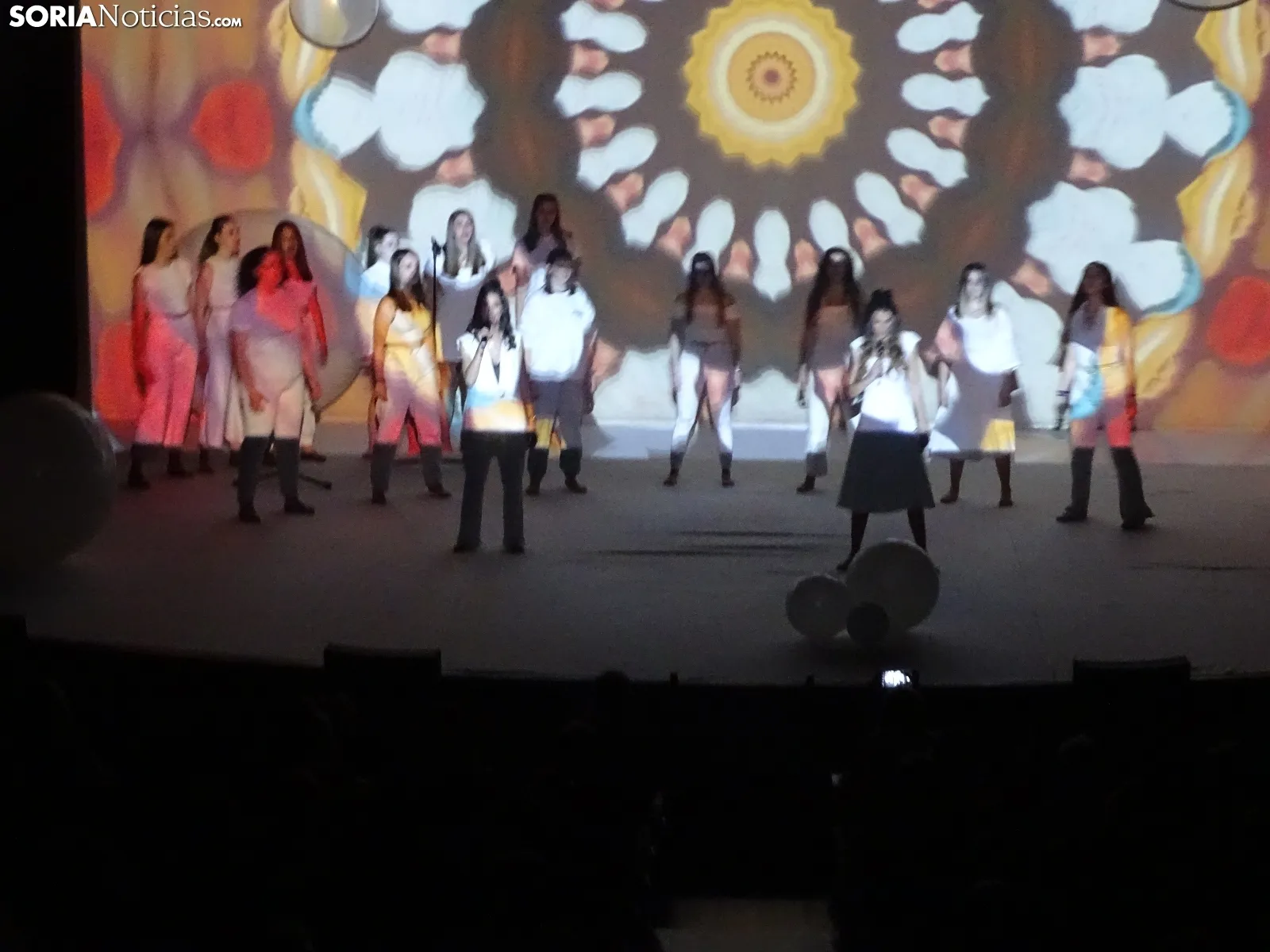 Una imagen de la gala de Asovica-Fadess hoy en La Audiencia. /SN