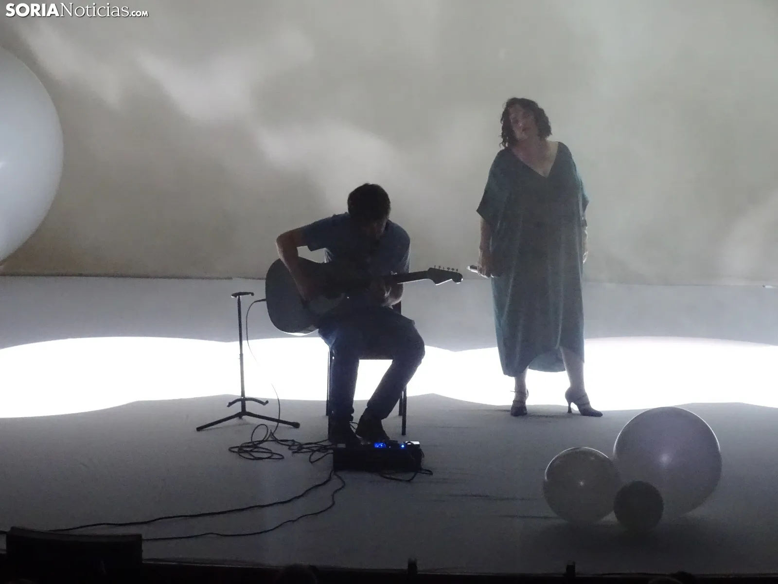 Una imagen de la gala de Asovica-Fadess hoy en La Audiencia. /SN
