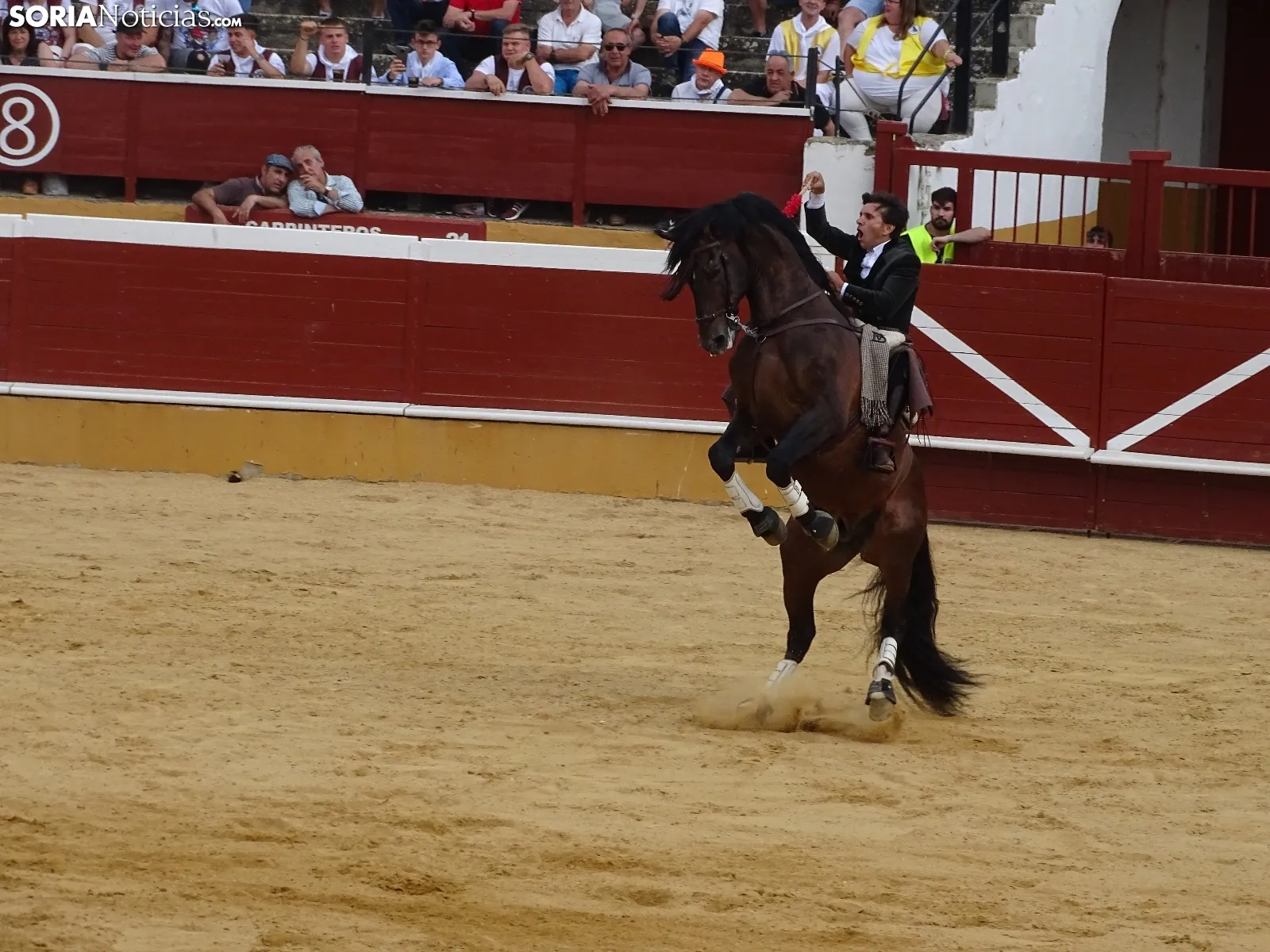 Una de las imágenes de esta tarde en la plaza de toros soriana. /SN