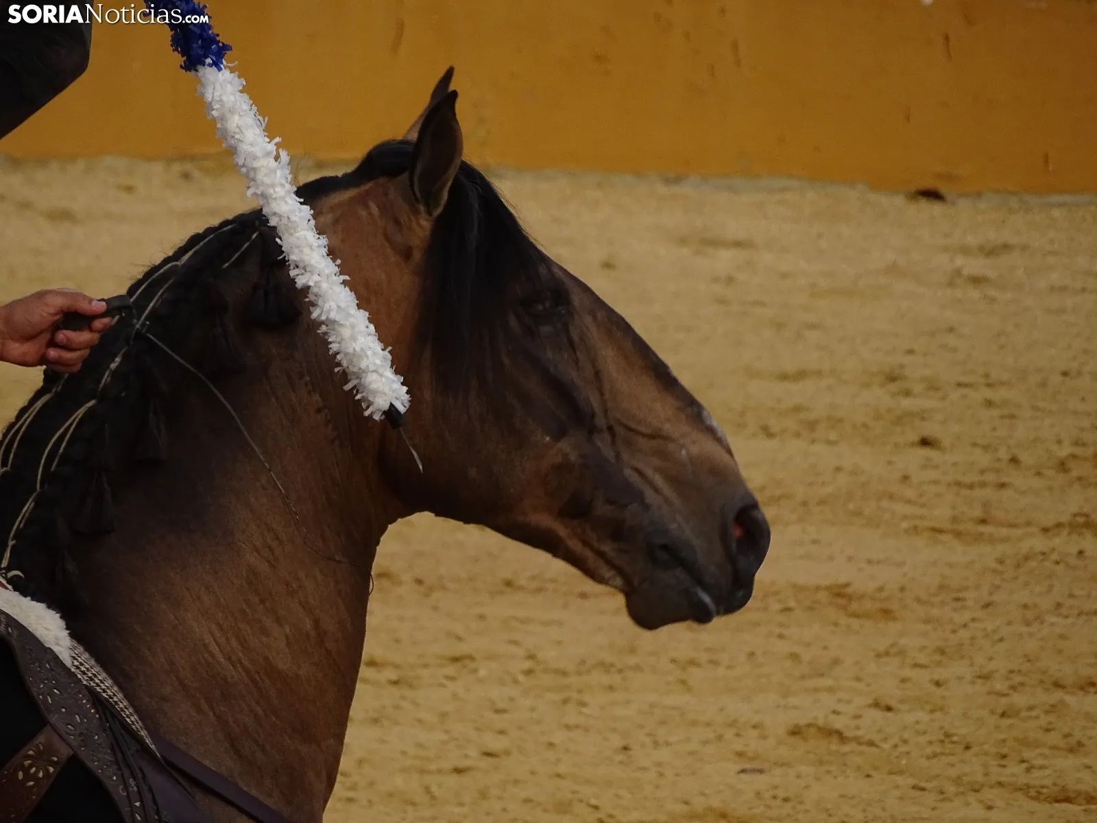 Una de las imágenes de esta tarde en la plaza de toros soriana. /SN