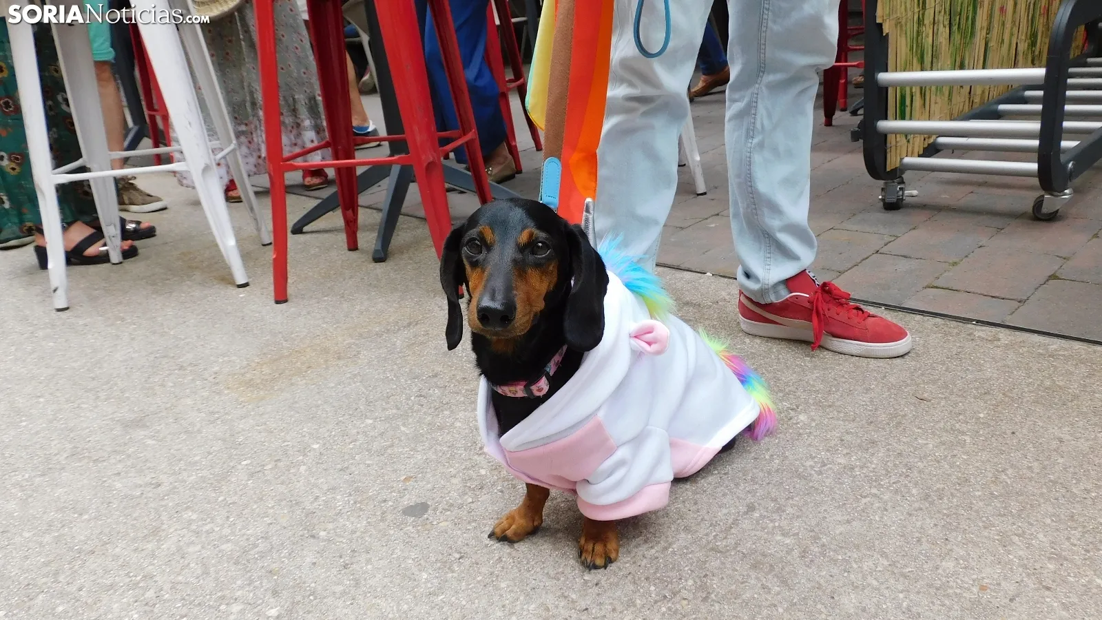 Mañana del orgullo LGTB en Soria. /SN