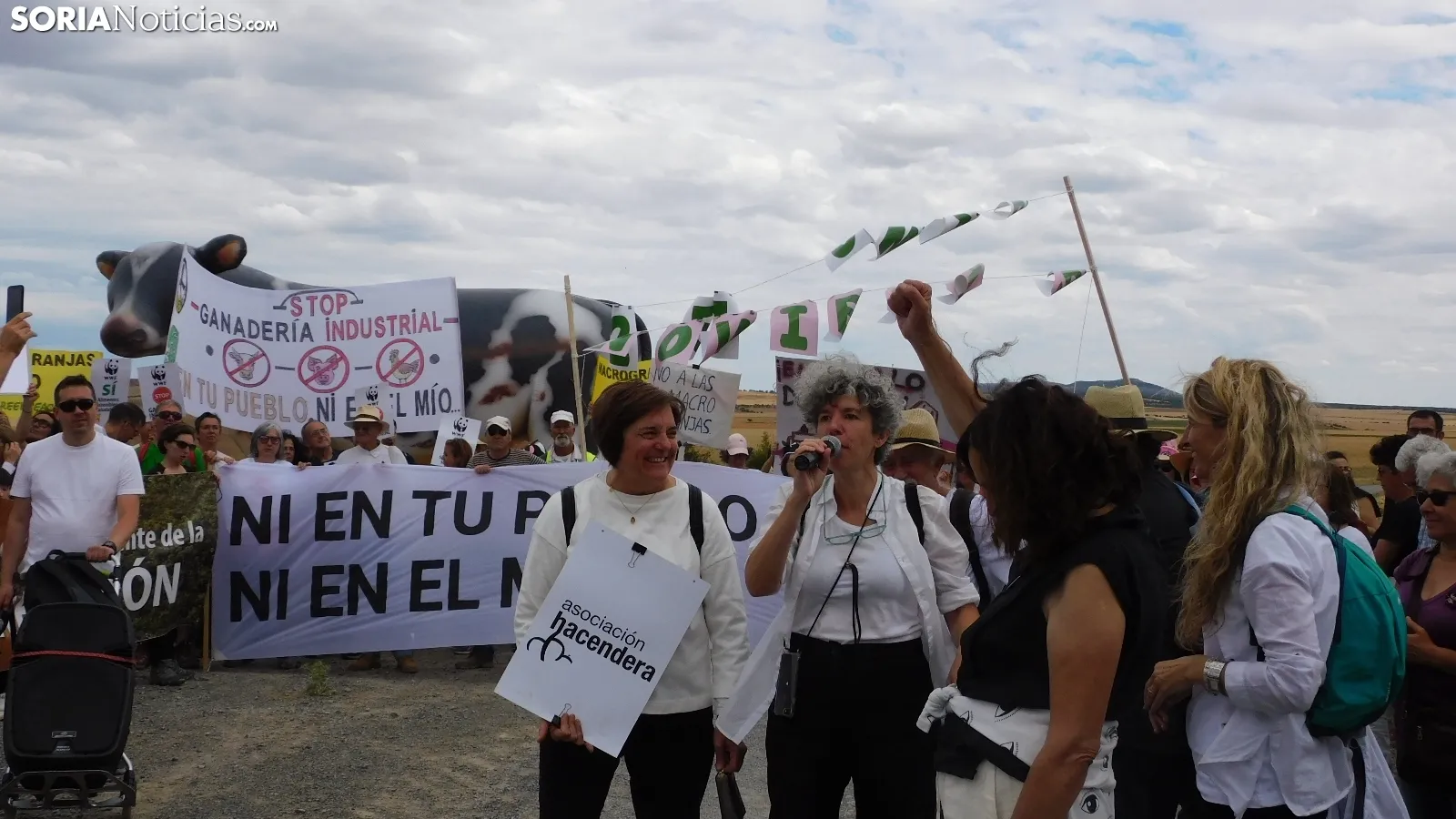 Movilización en Noviercas contra la macrogranja. /SN
