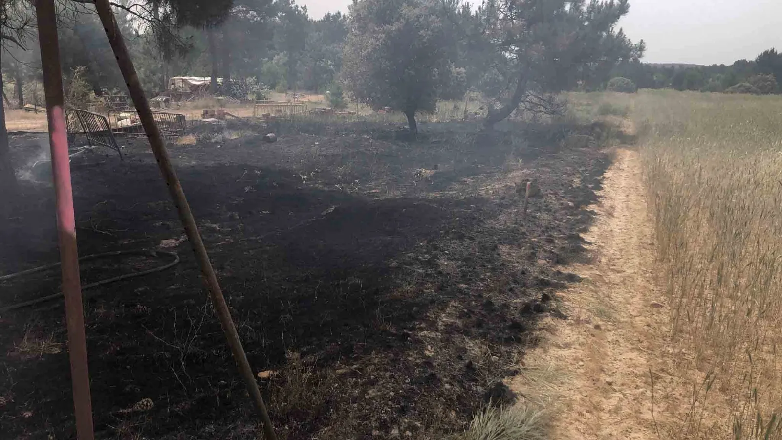 Una imagen del terreno afectado. /AQR