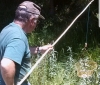 Un pescador capturando cangrejos./ 'El Campano Soriano'.