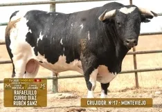 Foto 6 - Estos son los toros para el S&aacute;bado Ag&eacute;s