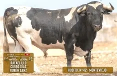 Foto 5 - Estos son los toros para el S&aacute;bado Ag&eacute;s
