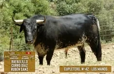 Foto 3 - Estos son los toros para el S&aacute;bado Ag&eacute;s