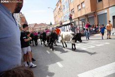 Trashumancia y Encierro de Carretones 2022