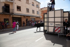 Trashumancia y Encierro de Carretones 2022