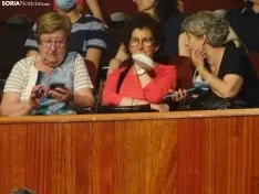 Una imagen de la gala de Asovica-Fadess hoy en La Audiencia. /SN