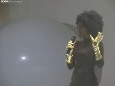 Una imagen de la gala de Asovica-Fadess hoy en La Audiencia. /SN