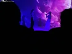 Una imagen de la gala de Asovica-Fadess hoy en La Audiencia. /SN