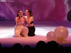 Una imagen de la gala de Asovica-Fadess hoy en La Audiencia. /SN