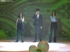 Una imagen de la gala de Asovica-Fadess hoy en La Audiencia. /SN