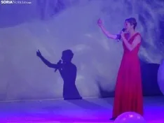 Una imagen de la gala de Asovica-Fadess hoy en La Audiencia. /SN