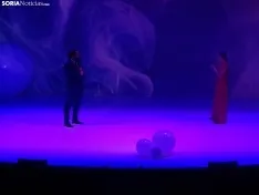 Una imagen de la gala de Asovica-Fadess hoy en La Audiencia. /SN