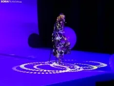Una imagen de la gala de Asovica-Fadess hoy en La Audiencia. /SN