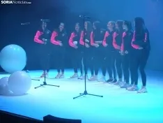Una imagen de la gala de Asovica-Fadess hoy en La Audiencia. /SN
