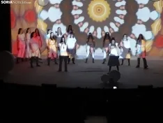Una imagen de la gala de Asovica-Fadess hoy en La Audiencia. /SN