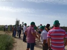 Foto 38 - Los campos de ensayo de Asaja, abiertos a visitantes