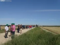 Foto 36 - Los campos de ensayo de Asaja, abiertos a visitantes
