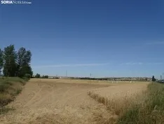 Foto 34 - Los campos de ensayo de Asaja, abiertos a visitantes