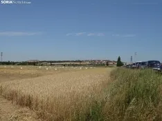 Foto 33 - Los campos de ensayo de Asaja, abiertos a visitantes