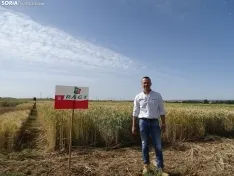 Foto 26 - Los campos de ensayo de Asaja, abiertos a visitantes