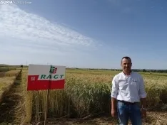 Foto 25 - Los campos de ensayo de Asaja, abiertos a visitantes