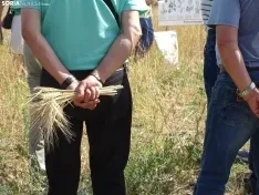 Foto 14 - Los campos de ensayo de Asaja, abiertos a visitantes