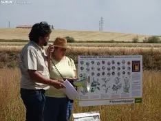 Foto 13 - Los campos de ensayo de Asaja, abiertos a visitantes