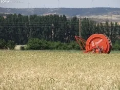 Foto 9 - Los campos de ensayo de Asaja, abiertos a visitantes