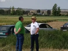 Foto 8 - Los campos de ensayo de Asaja, abiertos a visitantes