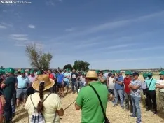 Foto 48 - Los campos de ensayo de Asaja, abiertos a visitantes