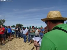 Foto 47 - Los campos de ensayo de Asaja, abiertos a visitantes