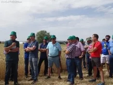 Foto 44 - Los campos de ensayo de Asaja, abiertos a visitantes